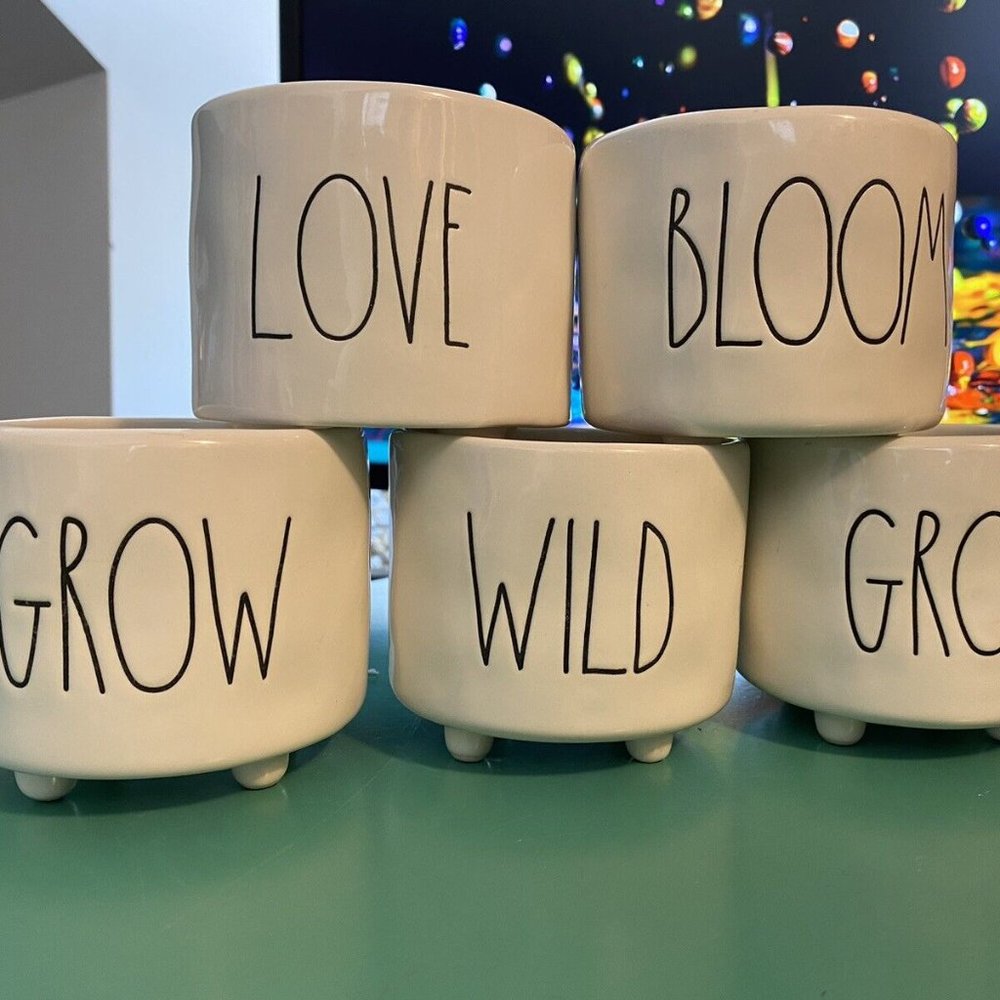Set of 5 Rae Dunn Mini Planters